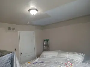 painting contractor Lake Orion before and after photo 1752070500292_interior-painting3