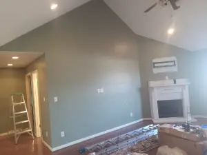 painting contractor Lake Orion before and after photo 1752072647791_interior-painting12